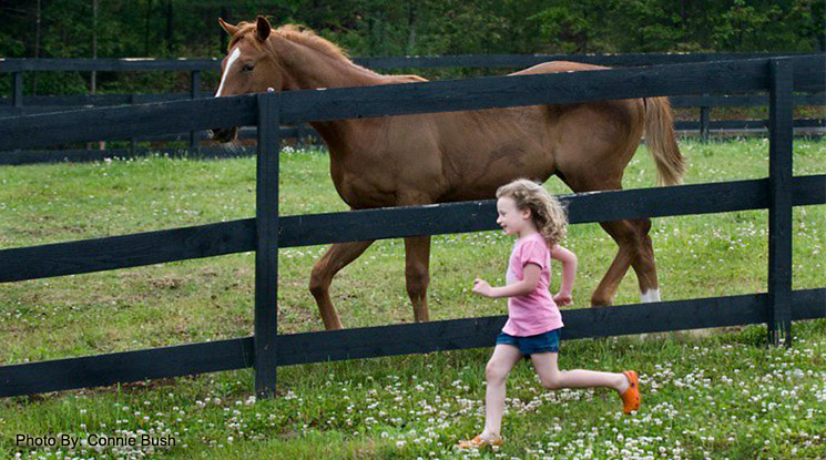 Summer Tuesdays at the farm...Aug 29