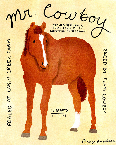 Mr. Cowboy
